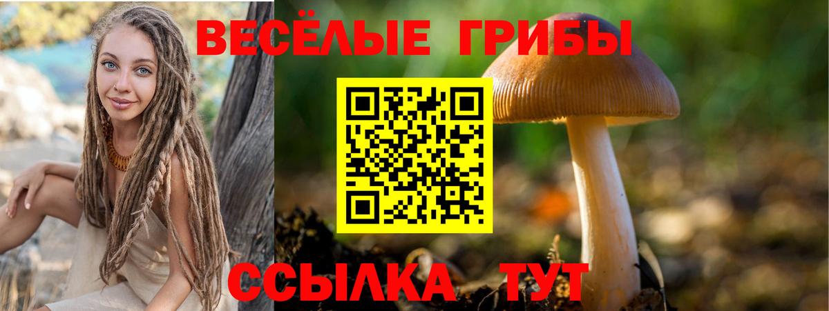 Гурьевск  Галлюциногенные грибы Magic Shrooms  Псилоцибиновые грибы мицелий  как найти наркотики  Вход с VPN 